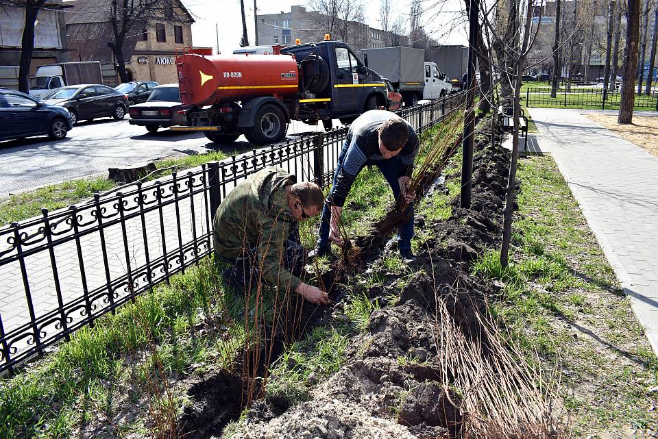 В Ленинском районе приступили к интенсивному озеленению территории