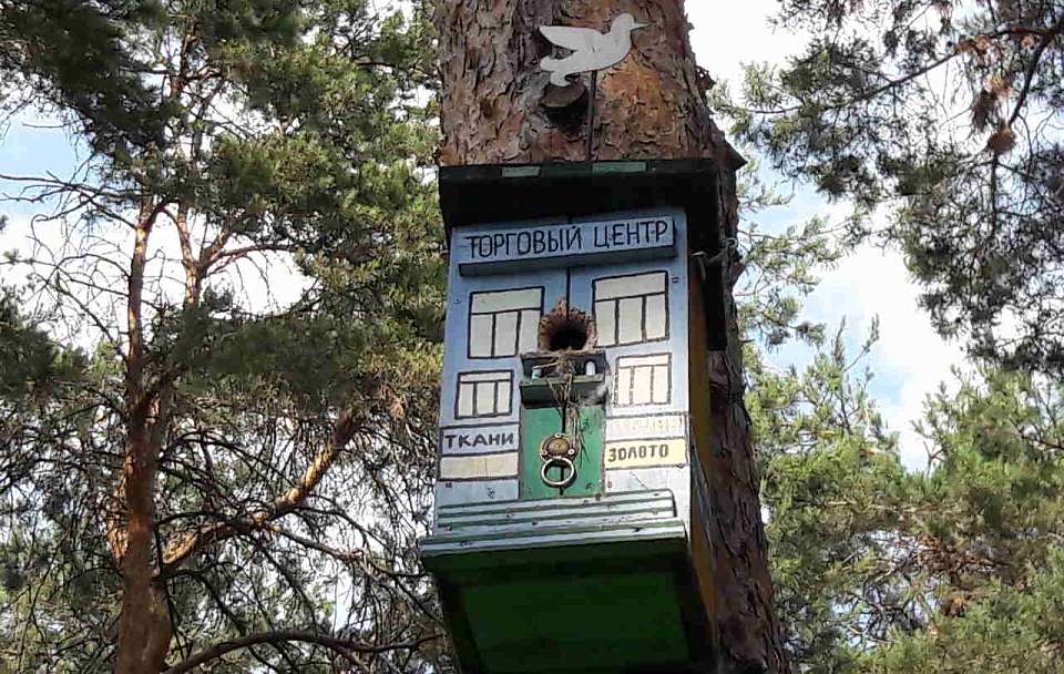 Воронежстат: в Воронеже насчитывается почти 7 тысяч магазинов и более 1000 аптек