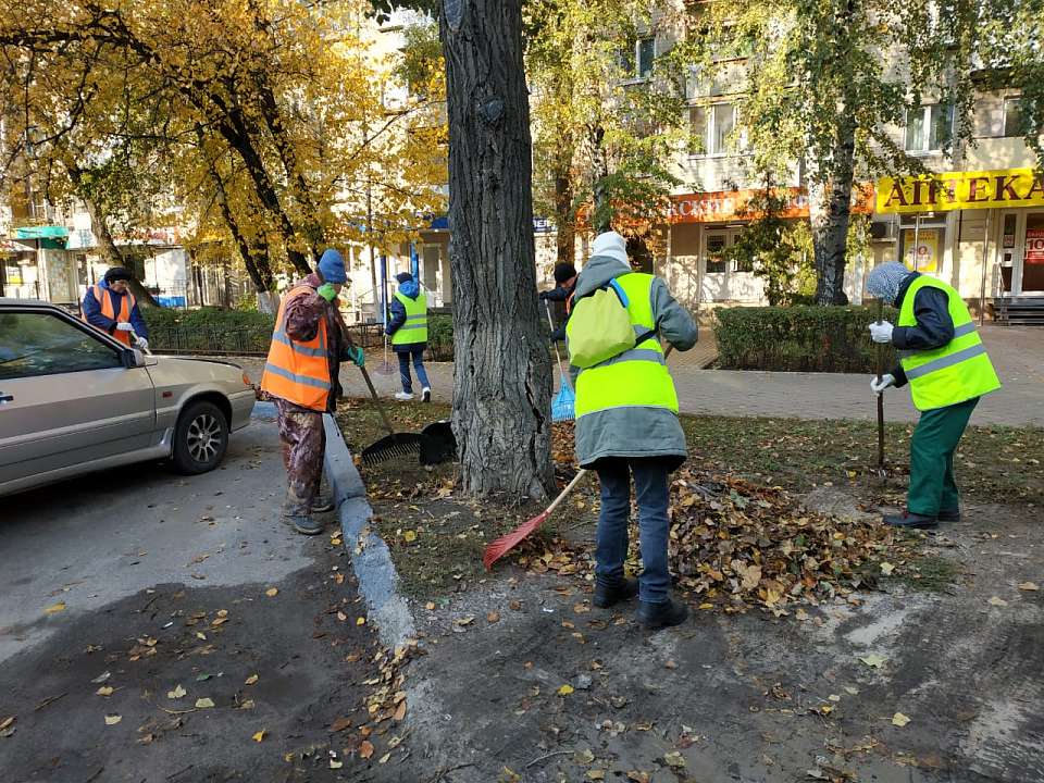 В Железнодорожном районе в преддверии субботника прошел очередной санитарный день