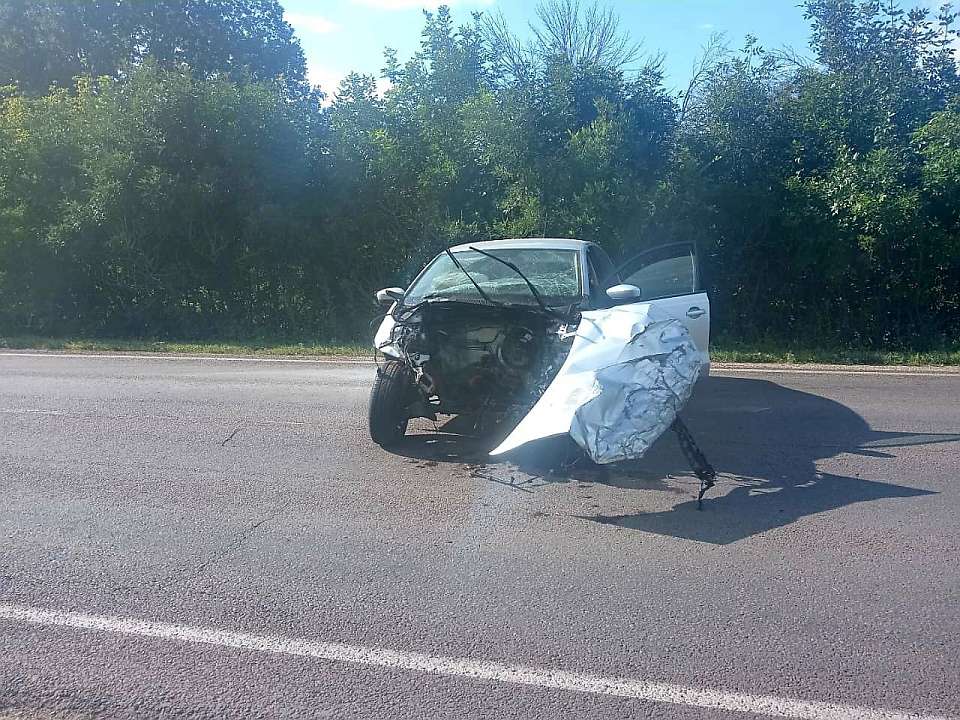 В лобовом ДТП под Воронежем пострадали трое взрослых и ребенок
