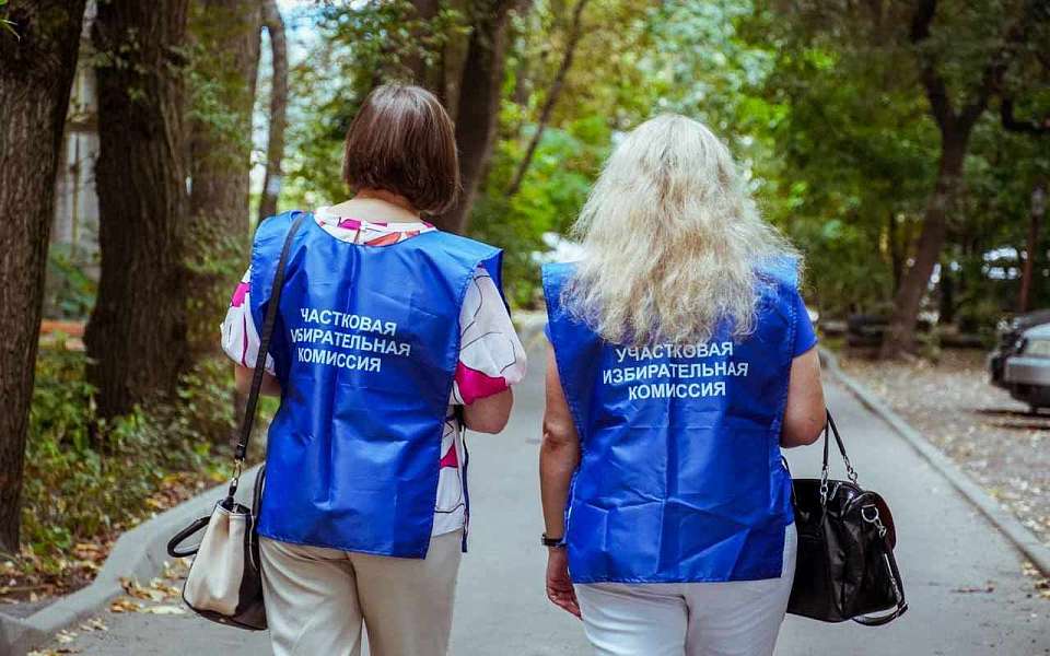 Подомовой обход избирателей стартует 20 августа в Воронежской области