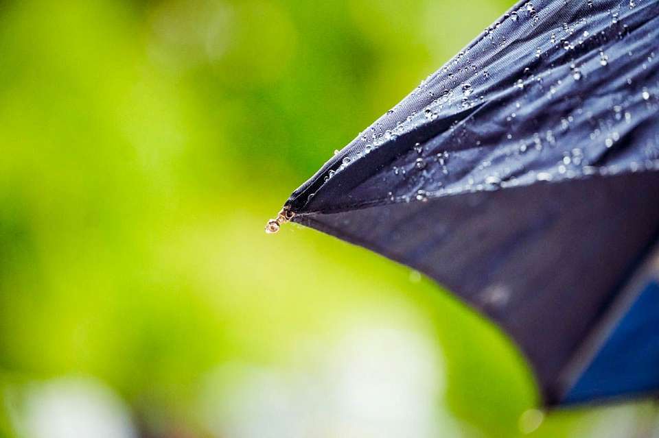 Какой будет погода в понедельник, 31 марта, рассказали воронежские синоптики