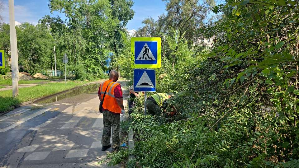 Комбинат благоустройства ежедневно ухаживает за зелеными насаждениями
