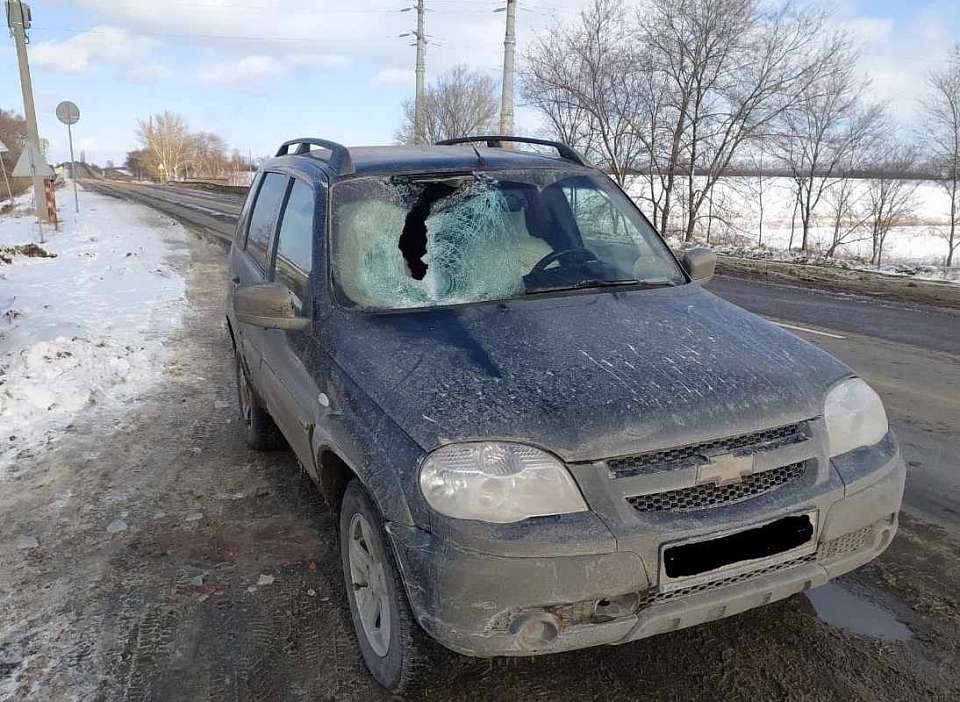 Кусок льда с проезжавшего грузовика травмировал пассажирку Chevrolet Niva на воронежской трассе