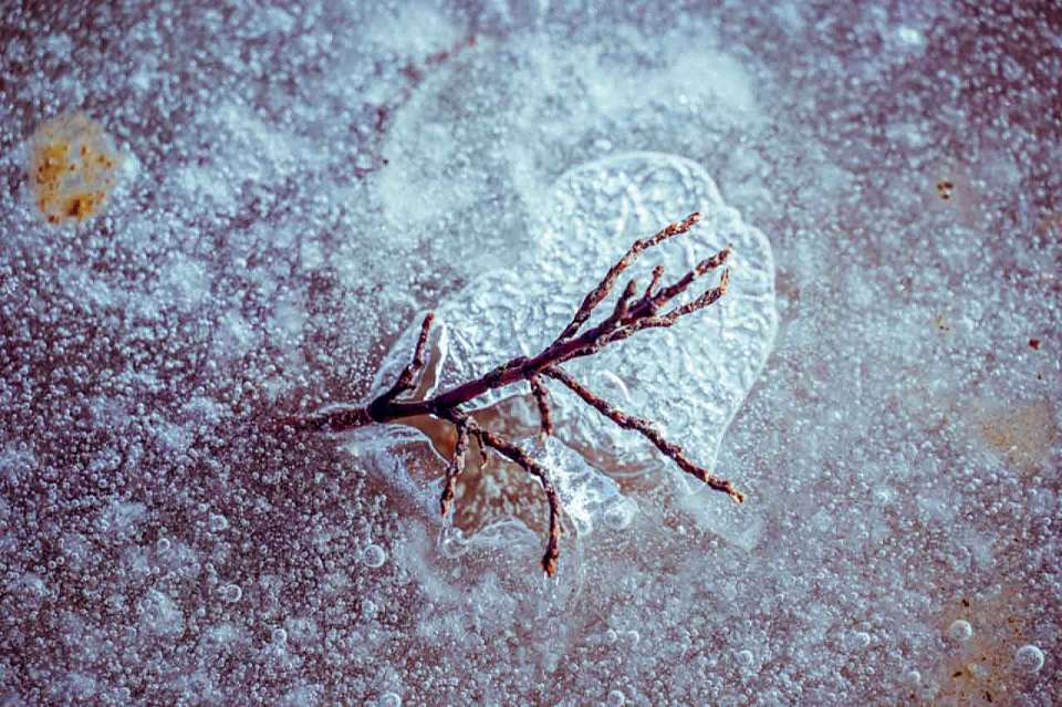 Гололедицу и до -5 °C прогнозируют воронежские синоптики на воскресенье, 2 февраля