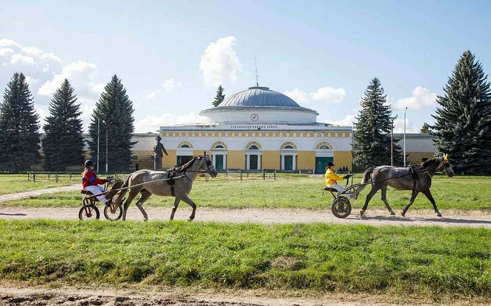 Торжественно отметили 250-летие Хреновского конезавода в Воронежской области