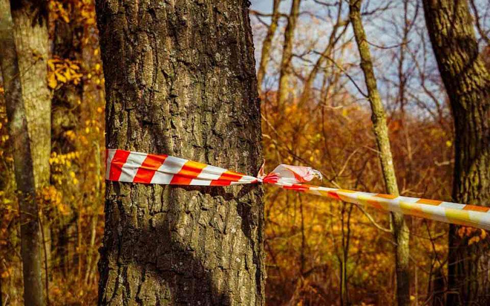 Пропали в Воронежской области 22 человека