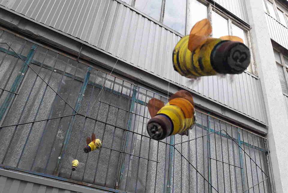 Вымирание пчёл серьёзно обеспокоило воронежских учёных