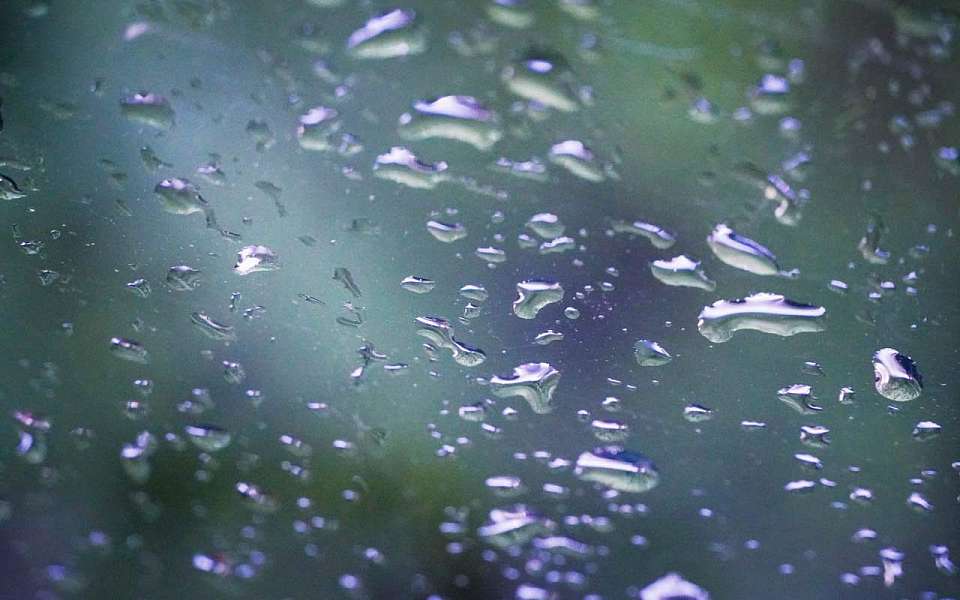 Ночные заморозки и дожди придут в выходные в Воронежскую область