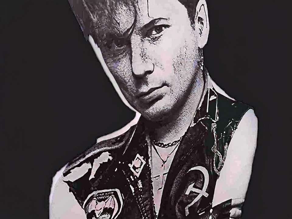 В Воронеже возле кладбища могут обустроить пространство для фанатов Юрия Хоя