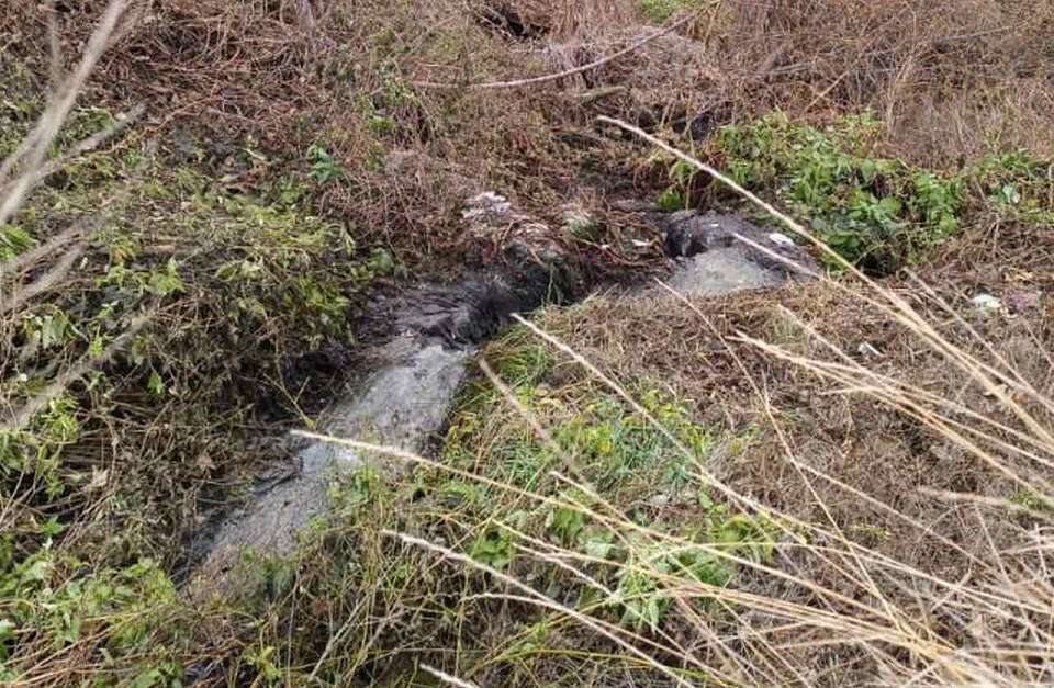 Сброс неочищенных вод в овраг выявили под Воронежем