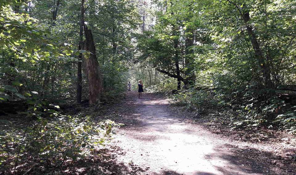 Экотропу «Легенды Хопра» в Воронежской области временно закрыли из-за половодья
