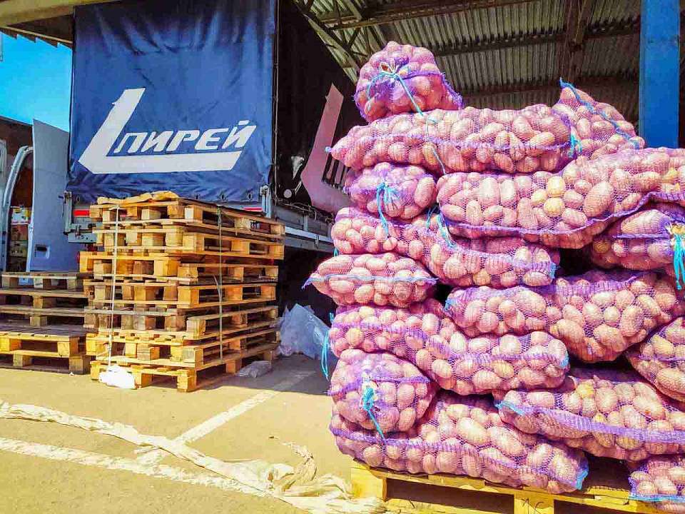 Небывалый рост цен: почему в Воронежской области растёт стоимость картофеля?