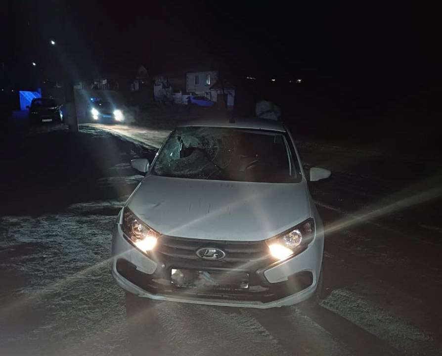 Пешеход погиб под колесами «Лады» на воронежской автодороге