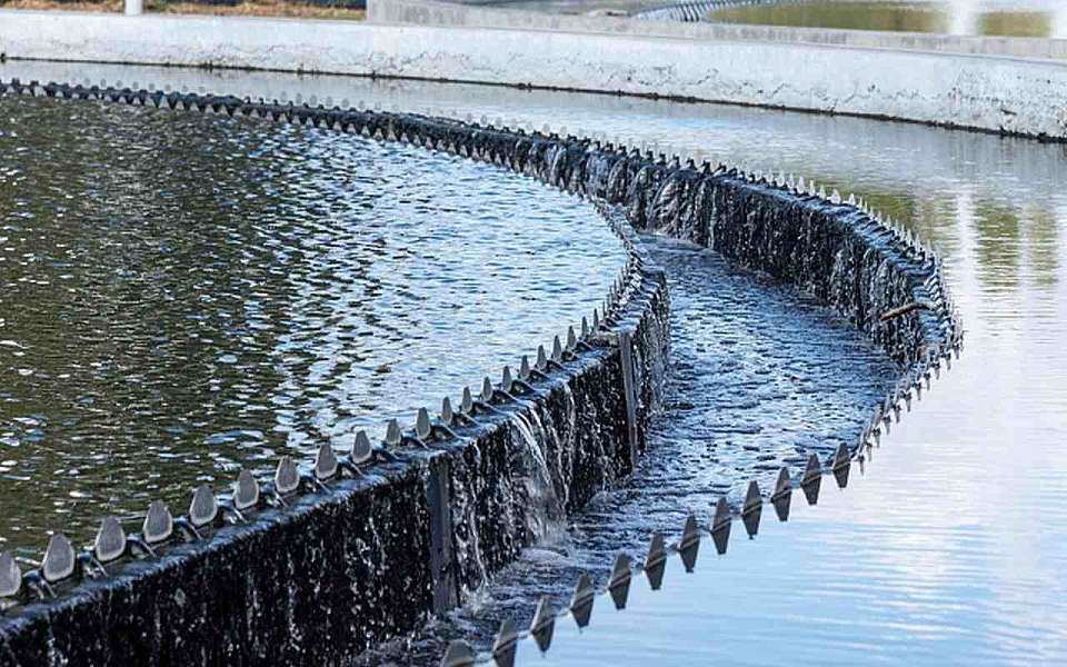 Уголовным преследованием пригрозил губернатор виновникам зловония в Воронеже