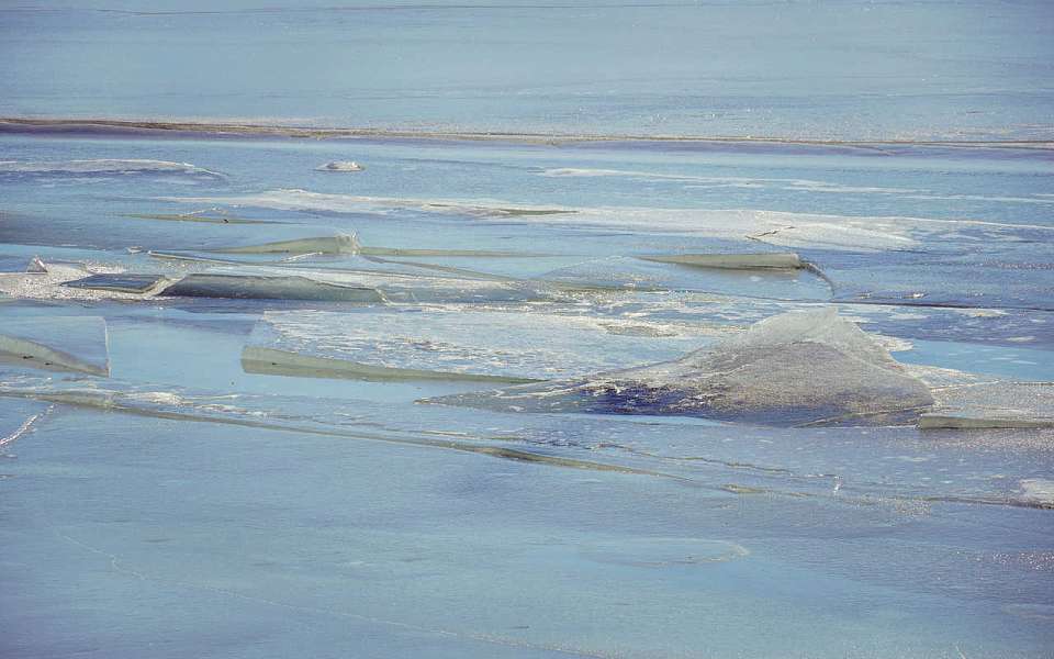 В зоне подтопления оказались 7 мостов в Воронежской области
