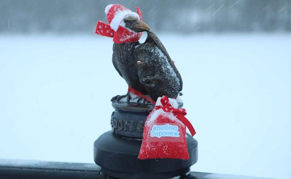 Ворона и ежа на Адмиралтейской площади Воронежа принарядили