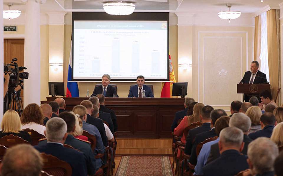 Воронеж готовится к новому учебному году и защите бездомных животных в холода