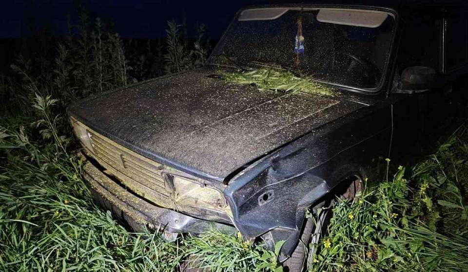 Мать сбитого насмерть ребёнка в Воронежской области обратилась к Бастрыкину, с просьбой наказать виновника ДТП