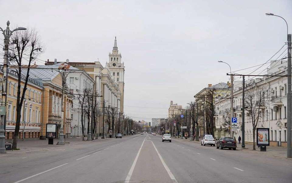 Идею пешеходного проспекта Революции отложили власти Воронежа