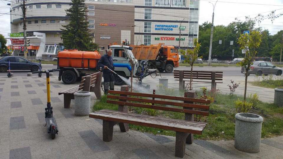 В Ленинском районе продолжают заботиться о зеленых насаждениях