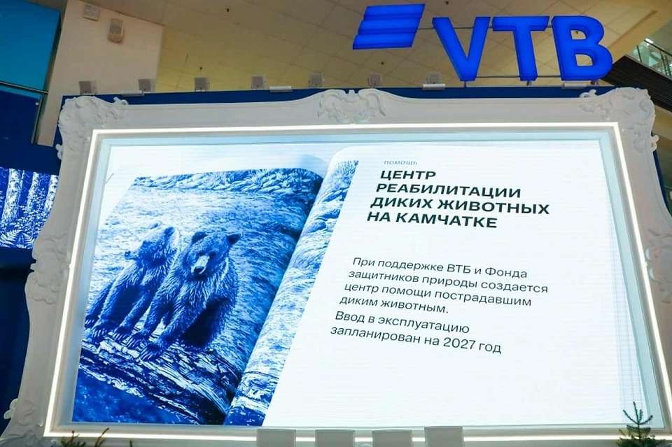 ВТБ создаёт центр реабилитации диких животных на Камчатке