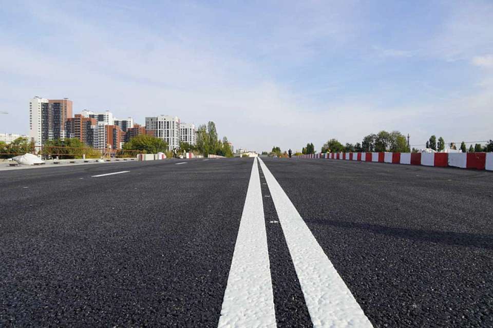 О контроле за нанесением разметки и ремонтом автодорог рассказал мэр Воронежа 