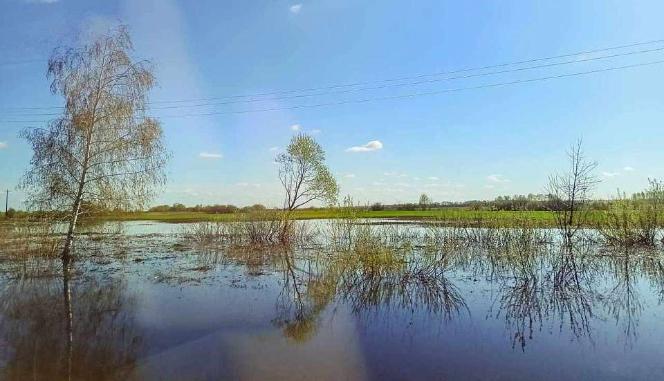 После наводнения жители воронежской Ольховатки вернулись домой, начата оценка ущерба