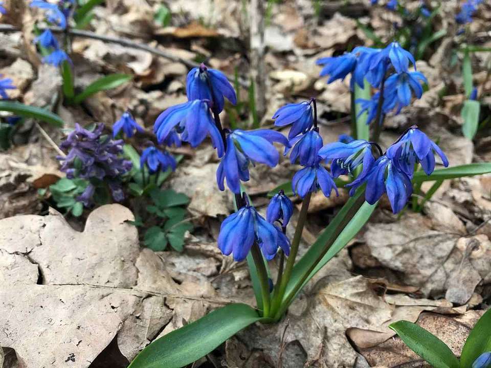 Какая погода будет в апреле в Воронежской области, рассказали синоптики