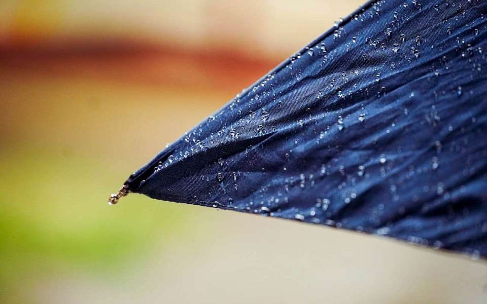 Дождливая погода установится на длинных июньских выходных в Воронежской области