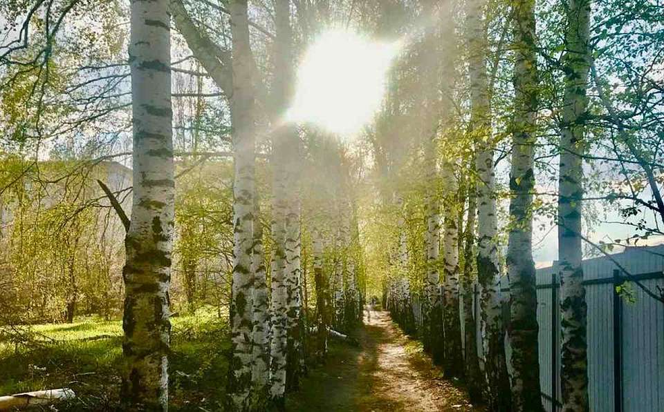Что будет в Воронеже 11 апреля. Берещенье. День освобождения узников фашистских концлагерей. Запрет парковки возле «Памятника Славы». Марафон "Главное – семья"