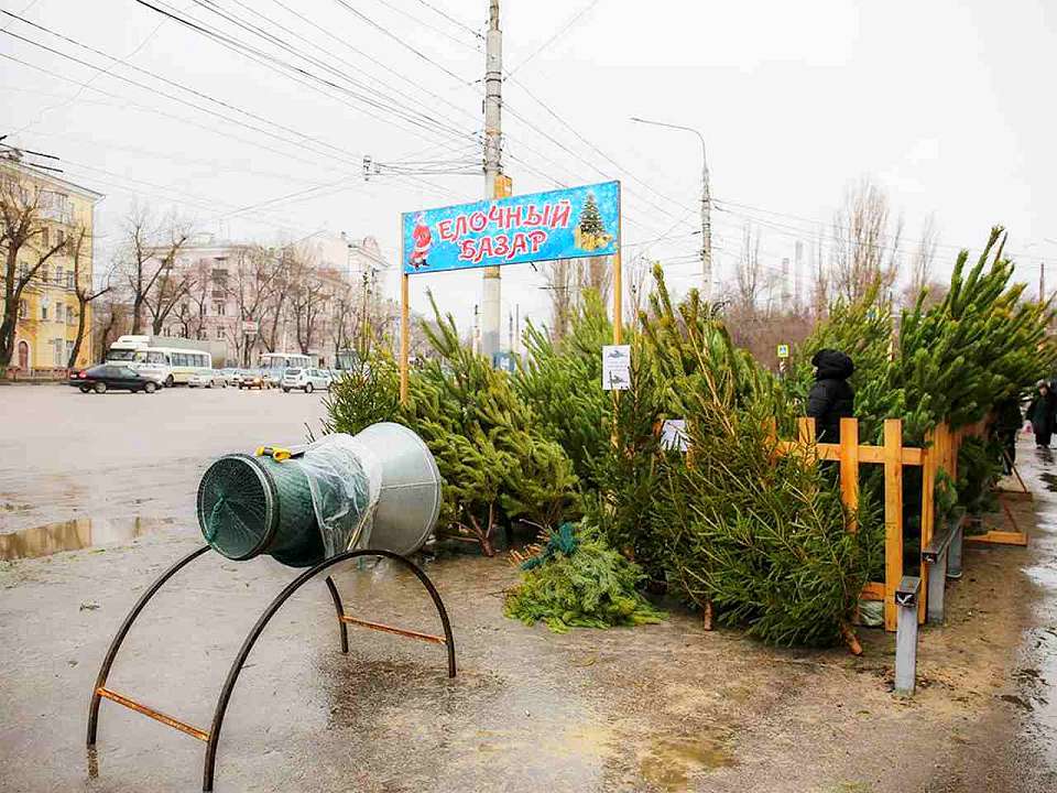 На улицах Воронежа вновь заработали елочные базары