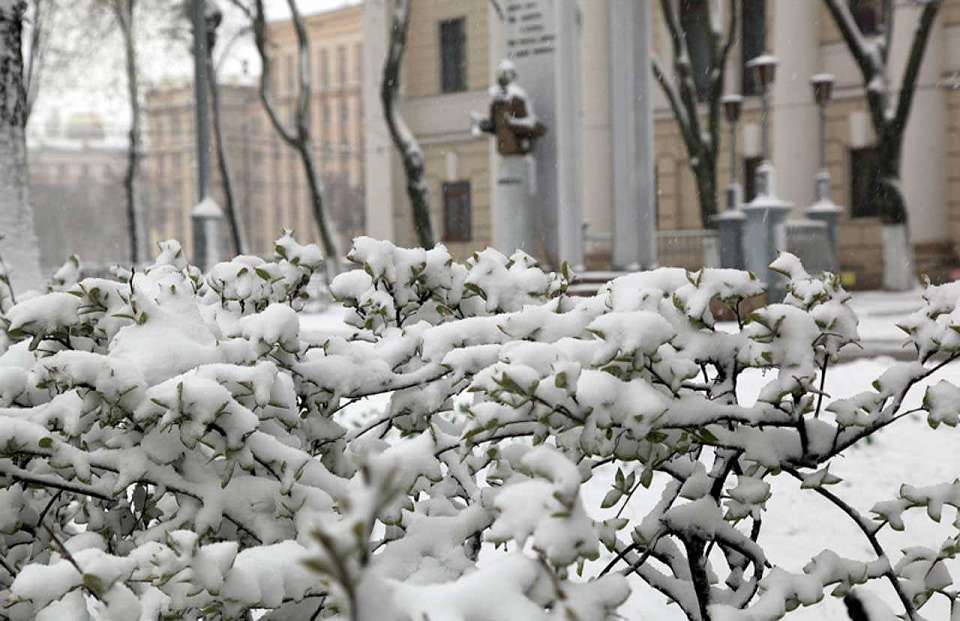 Мокрый снег засыплет Воронеж в понедельник, 3 марта