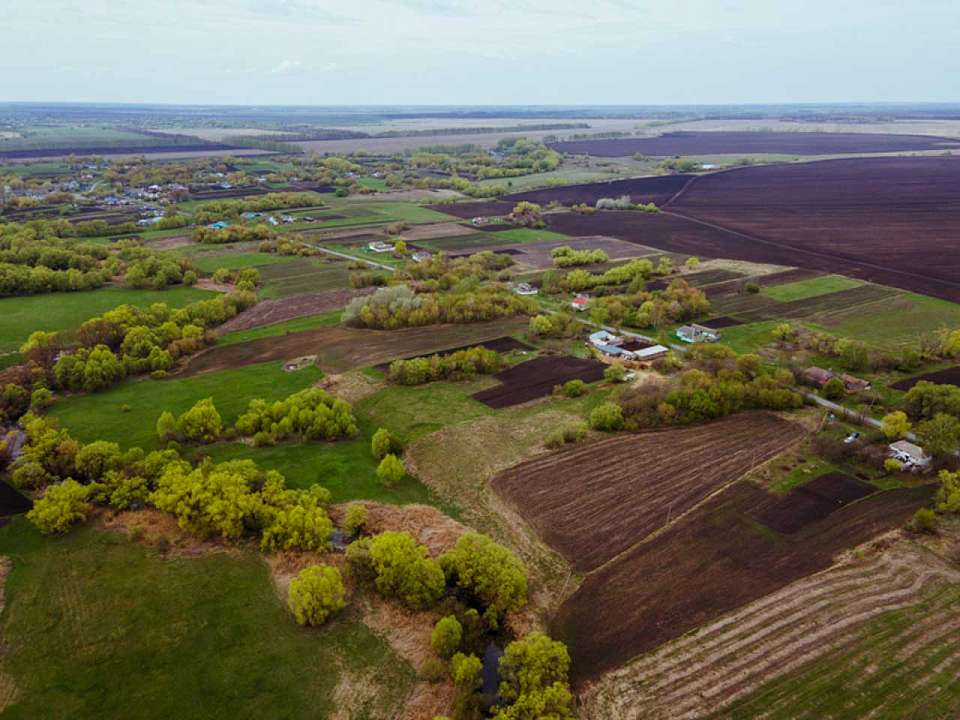 С 1 апреля землеустроительную документацию воронежцы могут получить быстрее