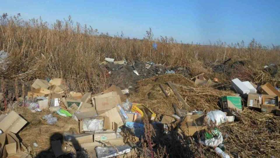 На землях сельхозназначения в Воронежской области нашли незаконную свалку