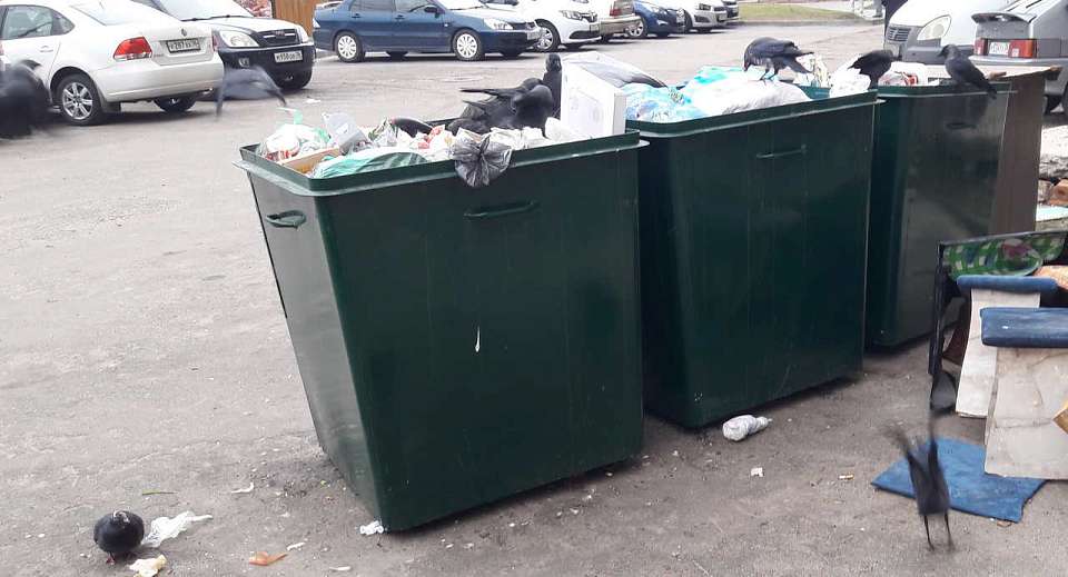 Новую территориальную схему вывоза мусора должны разработать в Воронежской области