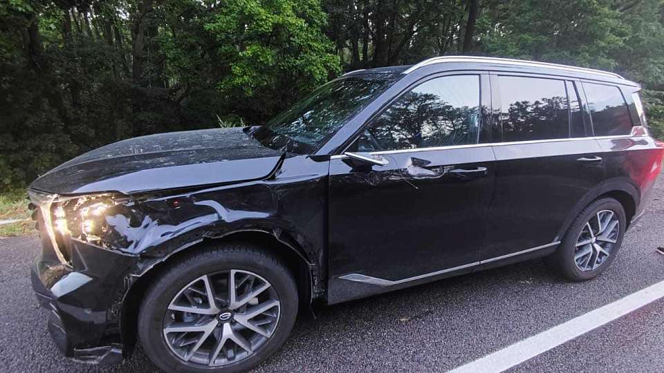 Автомобиль «GAC» при обгоне насмерть сбил 50-летнего пешехода на воронежской трассе