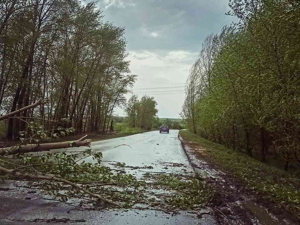 В Воронежской области объявили желтый уровень опасности сразу по четырем критериям