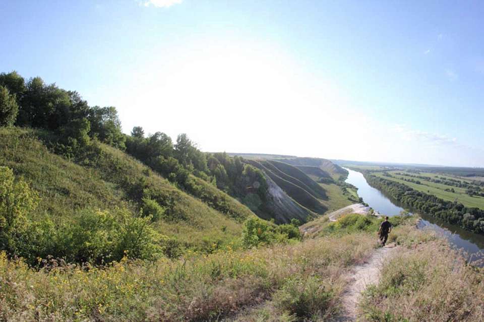 Пропали 123 человека в августе в Воронежской области