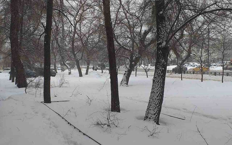 Пасмурная погода с мокрым снегом ожидает воронежцев 26 февраля