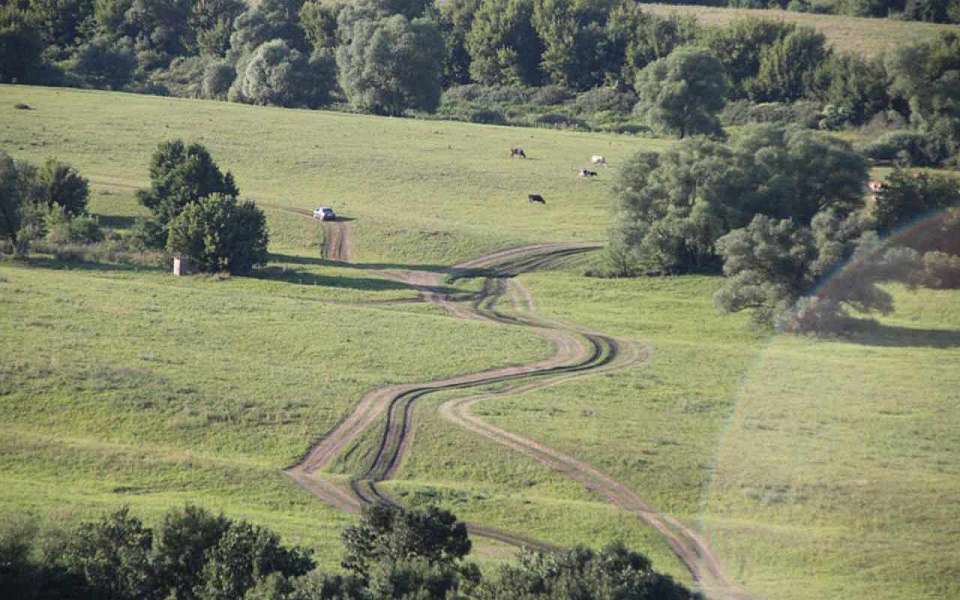 35-градусная жара накроет Воронежскую область 30 и 31 августа и 1 сентября