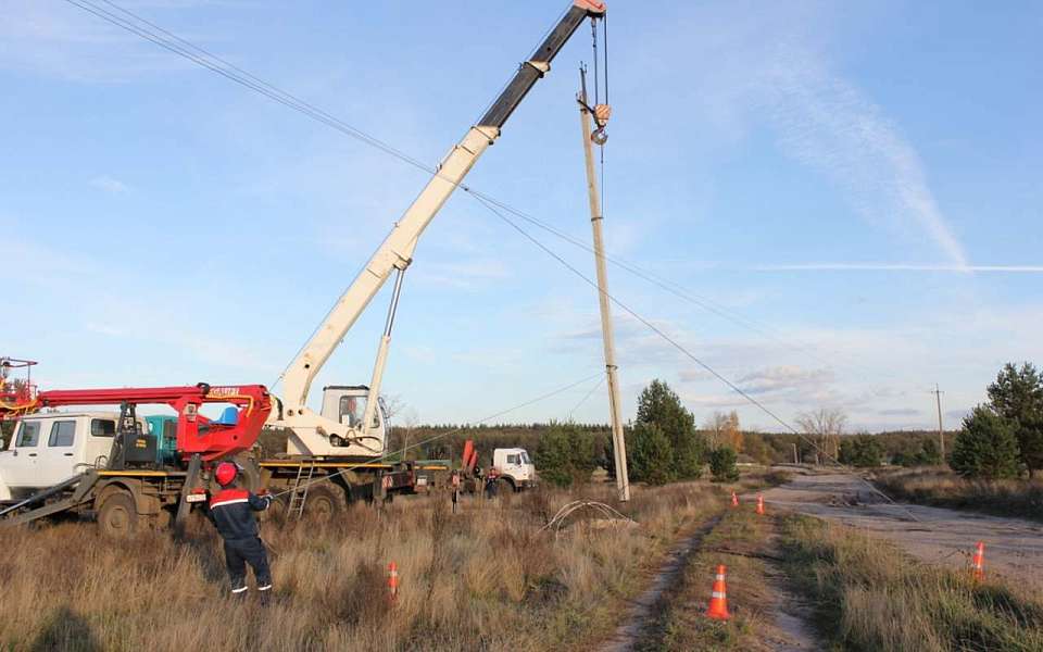 С начала года специалисты "Россети Центр" зафиксировали более 50 случаев повреждения ЛЭП в Воронежской области