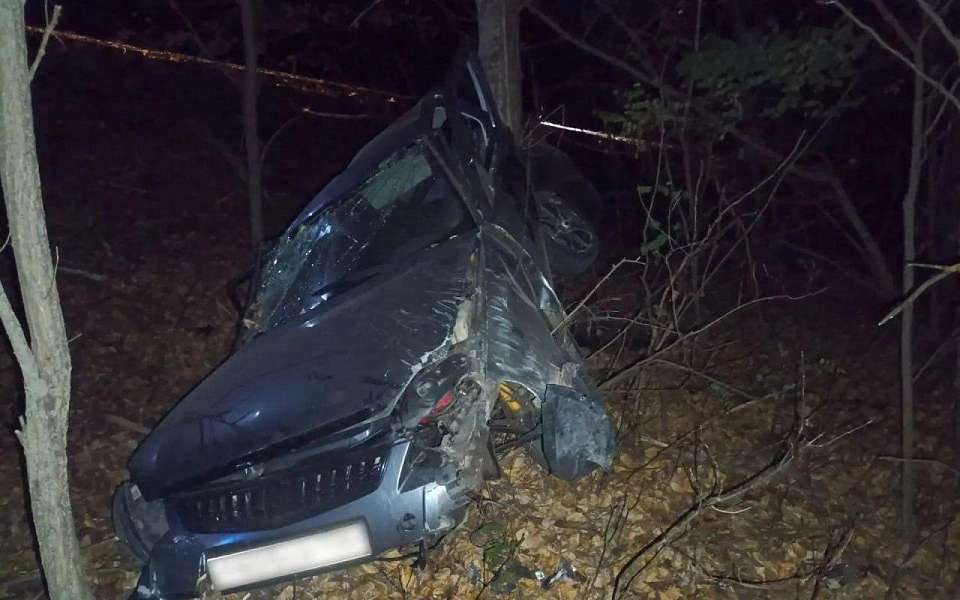 Пьяный водитель «Лады» жестоко разбился о дерево под Воронежем