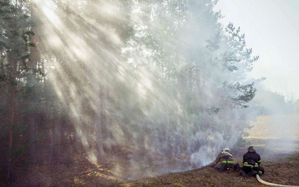 Пожароопасный сезон стартует в Воронежской области с 1 апреля