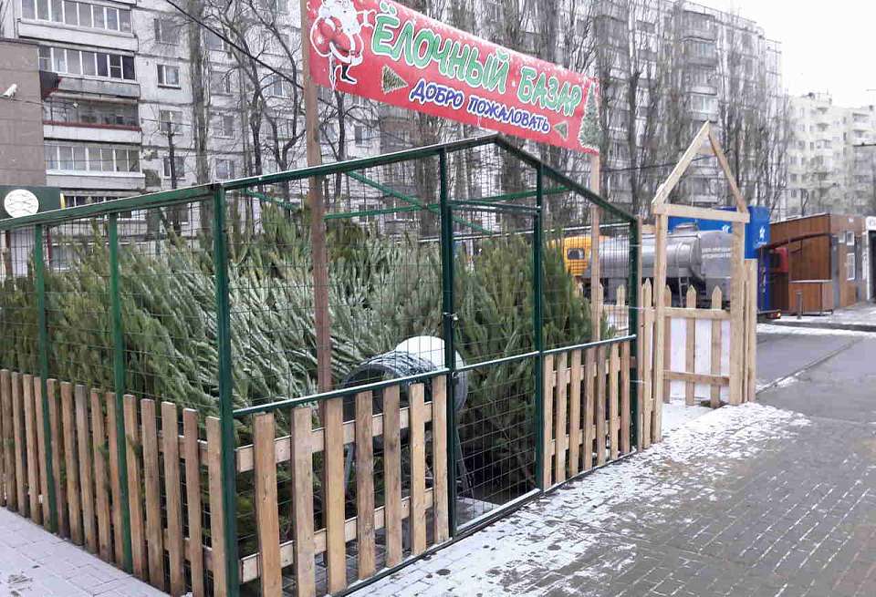 Воронежцам разъяснили ситуацию с так называемыми "ёлочными" клещами