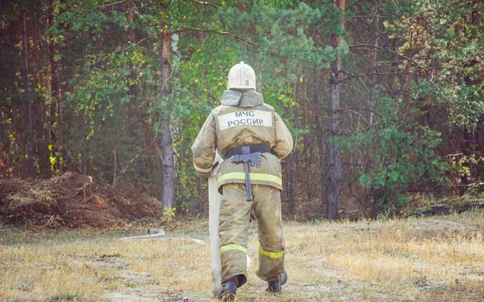 Третий класс пожарной опасности объявили в 21 районе Воронежской области