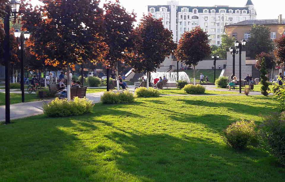 В рамках всероссийского голосования воронежцы могут выбрать объекты для благоустройства