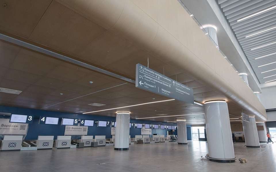 Когда начнет работу новый терминал аэропорта, рассказали воронежцам
