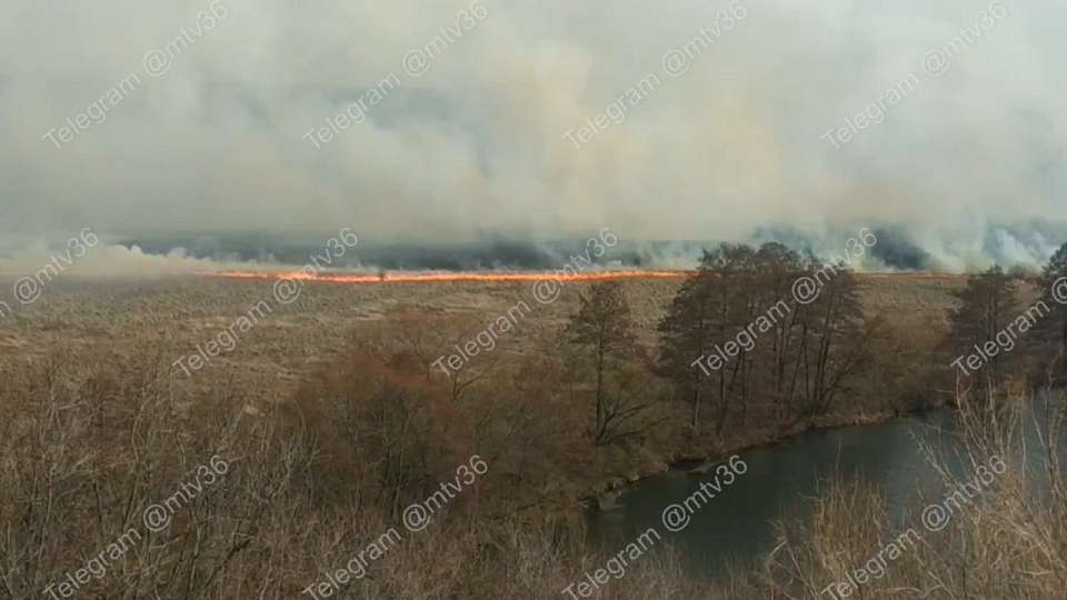 Более 30 ландшафтных пожаров разгорелось за день в Воронежской области