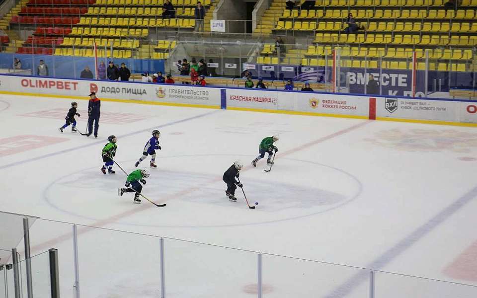 На обновление «Юбилейного» еще 90 млн рублей выделили в Воронеже